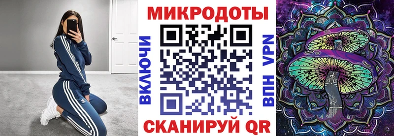 дарнет шоп  Куса  Галлюциногенные грибы мицелий 